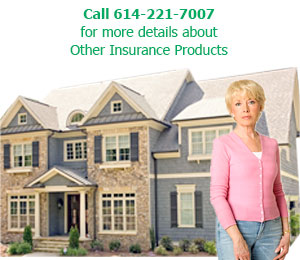 Homeowner's Insurance Plans - Columbus, OH - Affordable Insurance Agency Of Ohio - Call 614-221-7007 for more details about Other Insurance Products